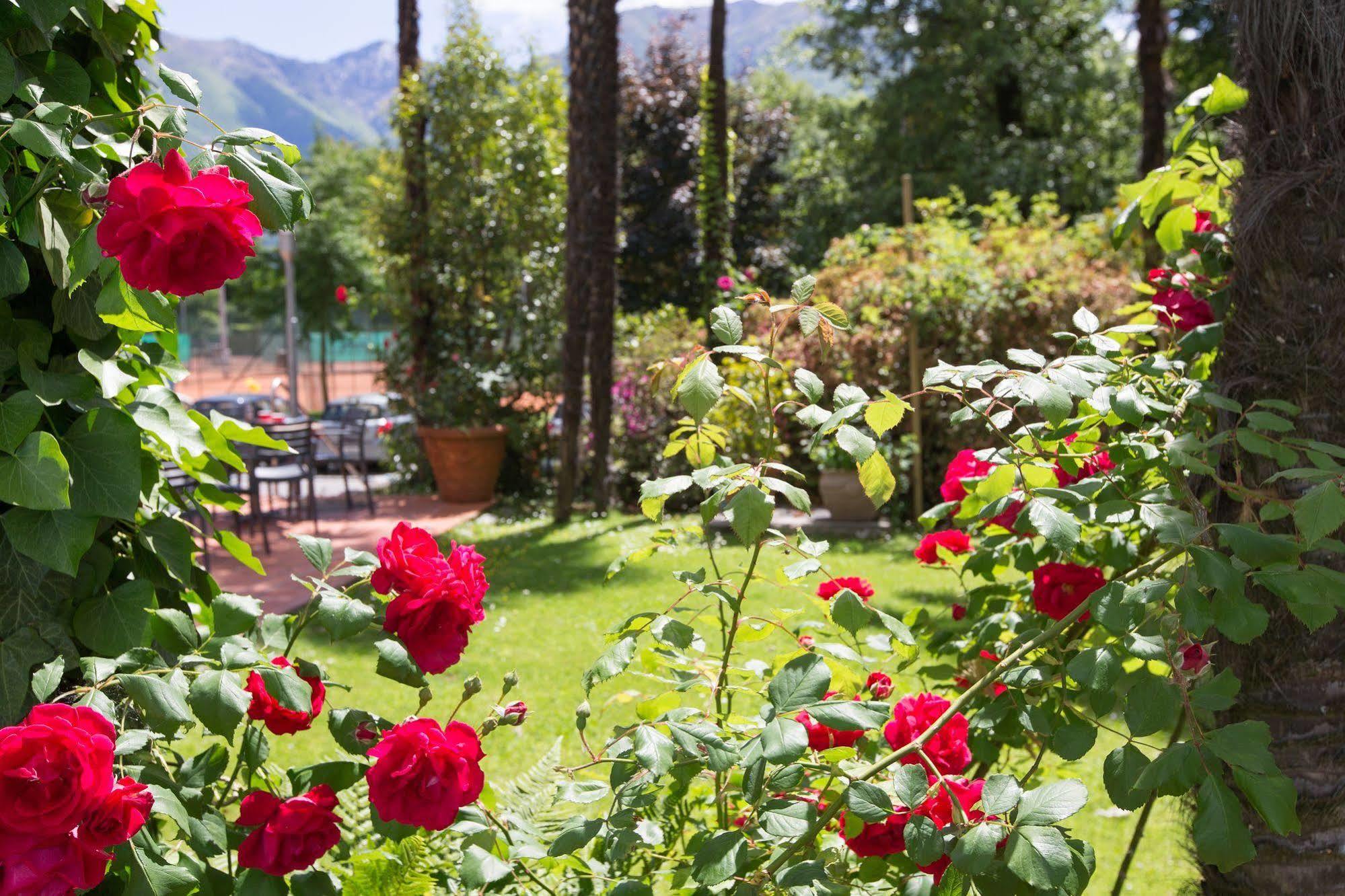 Aparthotel Al Lago Locarno Exteriör bild